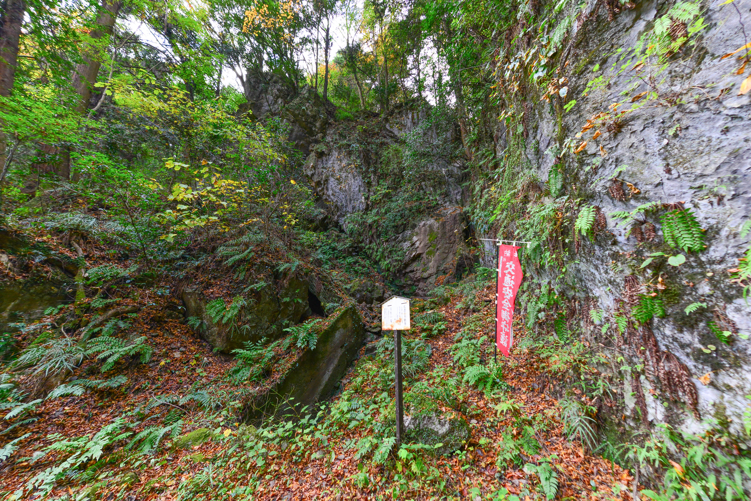 法光寺｜宝生の滝の画像
